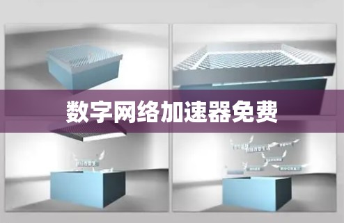 数字网络加速器免费 数字网络加速器免费