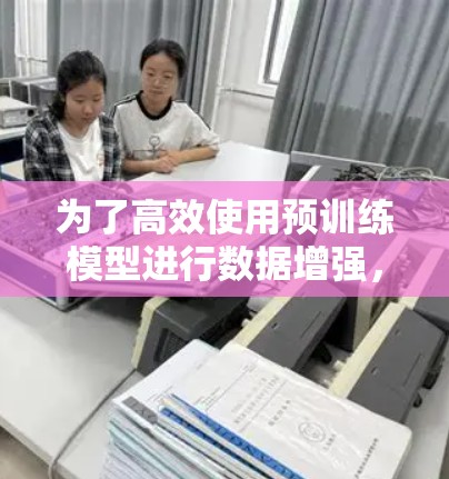 为了高效使用预训练模型进行数据增强,可以按照以下步骤进行优化和应用