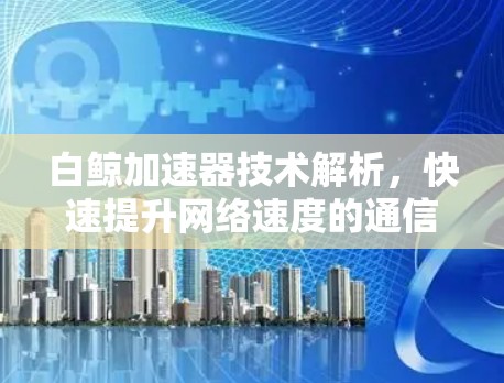 白鲸加速器技术解析,快速提升网络速度的通信工程师必用工具 白鲸加速器技术解析,快速提升网络速度的通信工程师必用工具