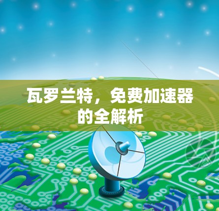 瓦罗兰特,免费加速器的全解析