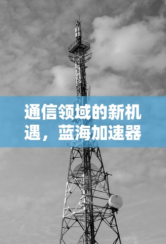 通信领域的新机遇，蓝海加速器权益助力网络万物互联