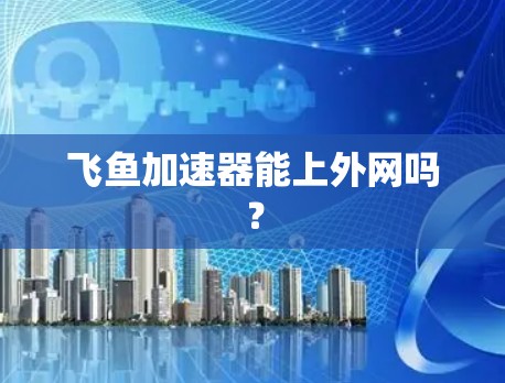 飞鱼加速器能上外网吗?