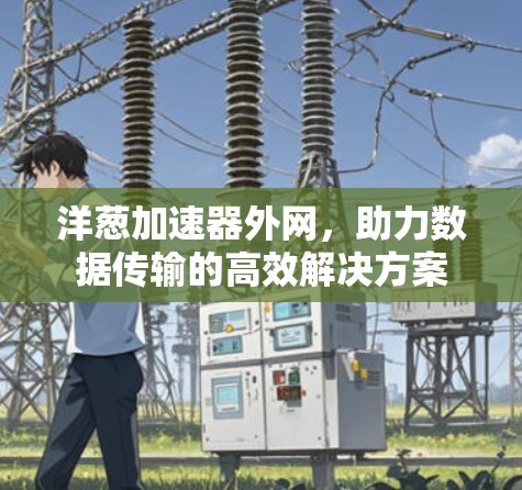 洋葱加速器外网,助力数据传输的高效解决方案