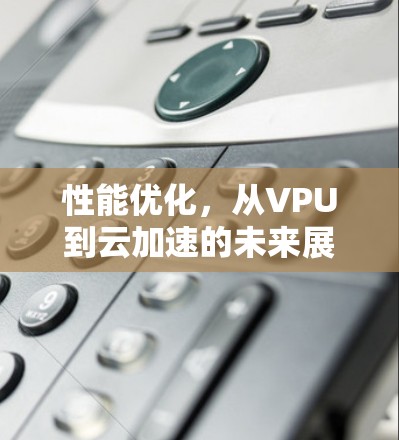 性能优化，从VPU到云加速的未来展望