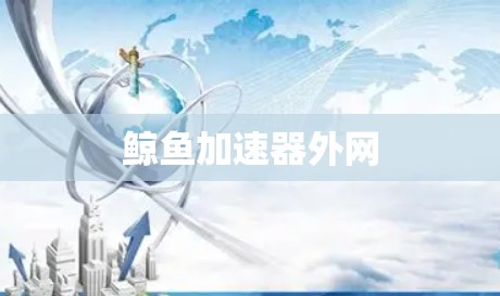 鲸鱼加速器外网