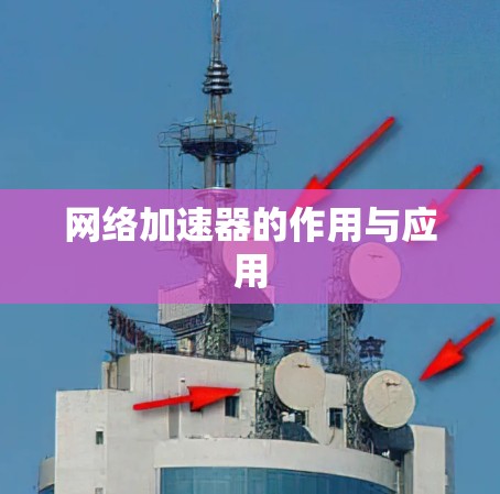 网络加速器的作用与应用