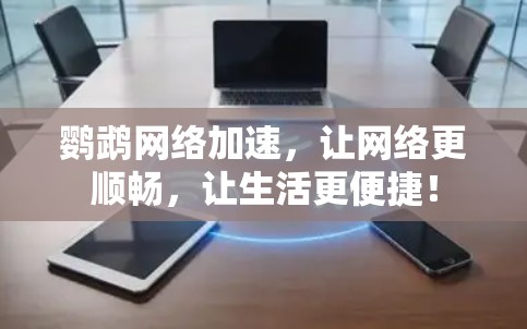 鹦鹉网络加速,让网络更顺畅,让生活更便捷! 鹦鹉网络加速,让网络更顺畅,让生活更便捷!
