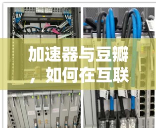 加速器与豆瓣，如何在互联网中高效分享与交流