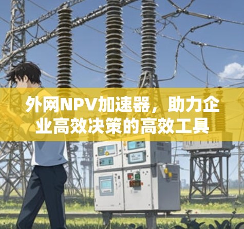 外网NPV加速器,助力企业高效决策的高效工具 外网NPV加速器,助力企业高效决策的高效工具