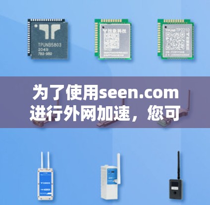 为了使用seen.com进行外网加速，您可以按照以下步骤操作