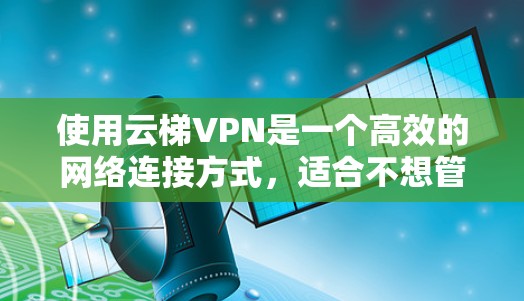 使用云梯VPN是一个高效的网络连接方式，适合不想管理自己的网络设备的人。以下是详细的使用步骤，帮助你顺利使用云梯VPN