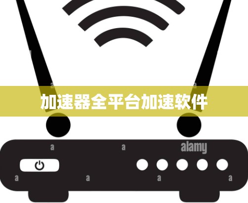 加速器全平台加速软件