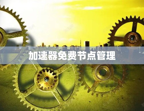 加速器免费节点管理 加速器免费节点管理