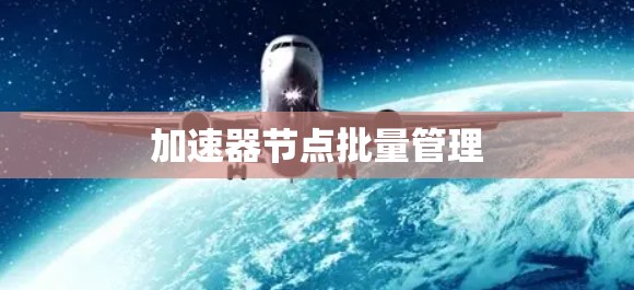 加速器节点批量管理