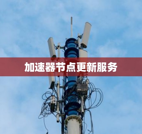 加速器节点更新服务