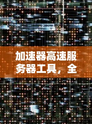 加速器高速服务器工具,全面解析 加速器高速服务器工具,全面解析