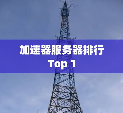 加速器服务器排行Top 1 加速器服务器排行Top 1