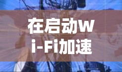 在启动Wi-Fi加速器后，如果无法找到安装路径或安装失败，以下是一些常见的解决步骤
