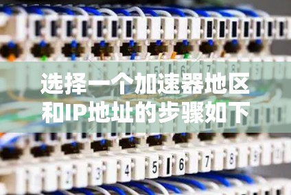 选择一个加速器地区和IP地址的步骤如下