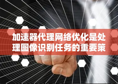 加速器代理网络优化是处理图像识别任务的重要策略，涉及多种方法和优化步骤。以下是对该领域的一些总结和优化建议
