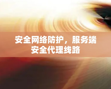 安全网络防护,服务端安全代理线路 安全网络防护,服务端安全代理线路