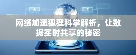 网络加速狐狸科学解析,让数据实时共享的秘密 网络加速狐狸科学解析,让数据实时共享的秘密