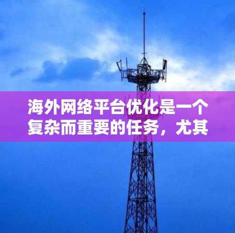 海外网络平台优化是一个复杂而重要的任务，尤其是在需要访问多个服务器和业务时。以下是一些关键点和步骤，帮助您优化海外网络平台的性能和稳定性