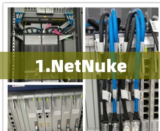1.NetNuke 1.NetNuke