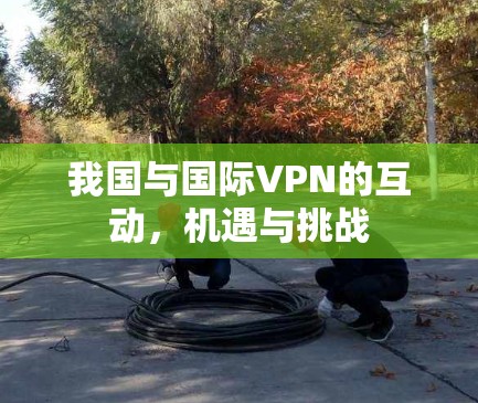我国与国际VPN的互动,机遇与挑战 我国与国际VPN的互动,机遇与挑战
