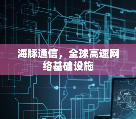 海豚通信,全球高速网络基础设施 海豚通信,全球高速网络基础设施
