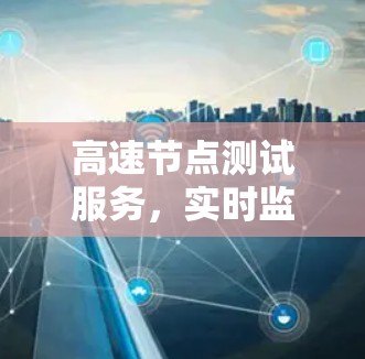 高速节点测试服务,实时监控与性能优化