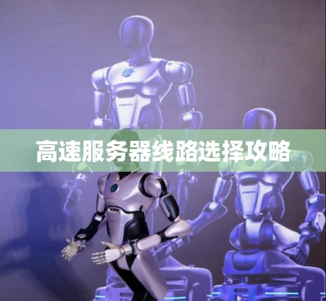 高速服务器线路选择攻略
